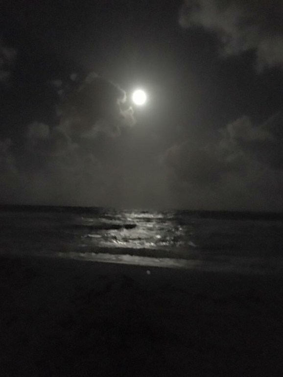 20151127_014005000_iOS